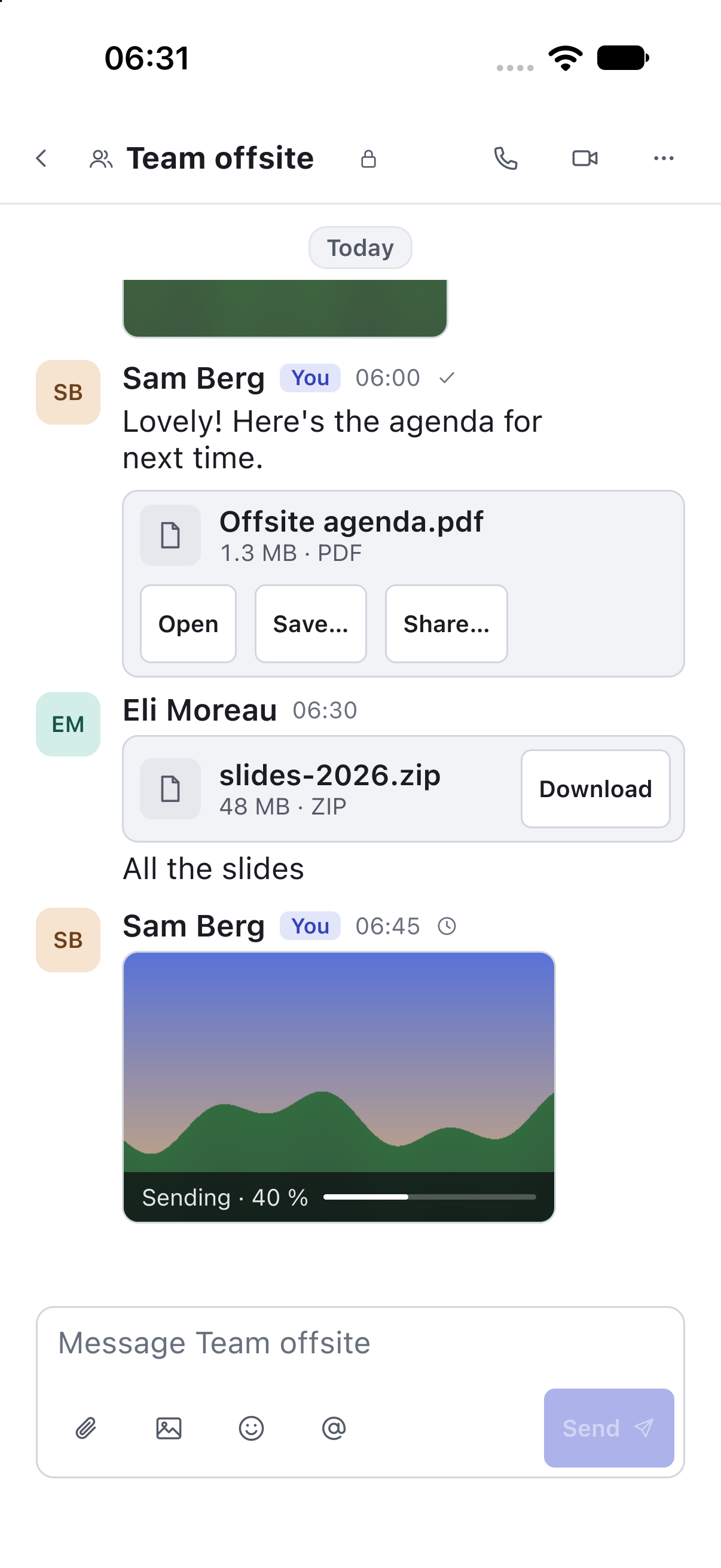 Lowfire on iPhone, light: a conversation with picture previews, a PDF and a ZIP file.
