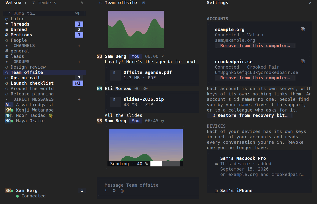 Lowfire in the terminal, dark: Settings with two accounts on different servers and their linked devices.